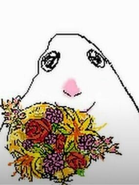 FREE SHIPPING ~ SPEND $40 OR BUY 3 ITEMS AT $12+ 🎉